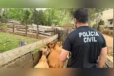Nova delegacia Deleagro combate crimes rurais no Pará