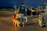 Drogas, armas e veículos retirados de circulação