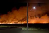 Incêndio de grandes proporções atinge vegetação em Xangri-Lá, RS; veja detalhes.