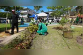 Ação do Junho Verde no bairro Terra Firme promove educação ambiental