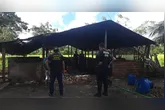 O local operava sem qualquer tipo de licença ou controle oficial