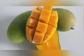A primeira orientação é prestar atenção na porção