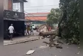 O incidente ocorreu na tarde deste domingo (5).