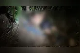 O jovem de 18 anos foi encontrado numa área de mata no município de Bragança