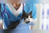 A ação disponibiliza 50 vagas para animais previamente cadastrados.