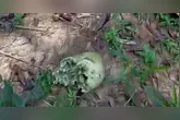 Forças de segurança encontraram a ossada dentro de um terreno numa zona rural