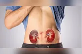 A obesidade aparece como uma nova vilã para doença renal