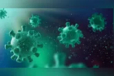 Organização Pan-Americana da Saúde (OPAS) reforça que a circulação da influenza está sendo monitorada com atenção.
