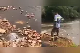 Buscas no local encontraram apenas uma CNH.
