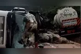 Carretas destruídas e bois mortos em meio à BR-163