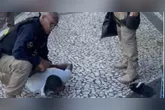 O suspeito foi encontrado e preso pelos agentes da Guarda Municipal