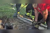 O Corpo de Bombeiros encontrou o corpo dentro da fossa em uma área rural