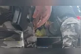 Policiais da Rotam ainda levaram o suspeito na viatura, mas ele não resistiu