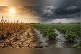 A previsão é que as chuvas oriunda do El Niño pode afetar o setor do agronegócio