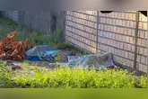 Mulher foi encontrada no início da manhã deste sábado (25)