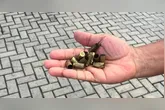 Munição calibre.40 foi encontrada no condomínio.