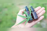 O movimento realizou, de forma gratuita, 126 consultas médicas e distribuiu 221 óleos de canabidiol.