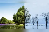 Maioria dos entrevistados afirmou sentir efeitos das mudanças climáticas no cotidiano.