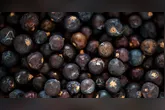 Projeto reconhece a importância dos trabalhadores responsáveis pela colheita, despolpa e preparo do açaí, atividade essencial para milhares de famílias amazônicas.