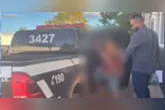 Adolescente de 16 anos foi apreendido em Marabá após confessar à Polícia Civil que realizava transmissões ao vivo com cenas de maus-tratos a gatos pela internet.