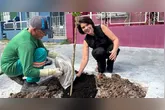 A história do primeiro plantio começou com a empresária Vânia Bordalo, proprietária de uma doceria na área. Após ver uma postagem nas redes sociais da Prefeitura, Vânia entrou em contato com o Whatsapp da Semma na sexta-feira (10) solicitando o plantio em frente ao seu estabelecimento.