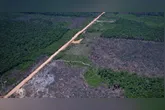 Segundo o Imazon, a Amazônia registrou 1.145 quilômetros quadrados de floresta derrubada entre janeiro e junho de 2026, resultado 10% menor que o do mesmo período do ano passado.