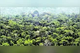 A UFPA e o Instituto Evandro Chagas transformam a biodiversidade amazônica em tecnologia.