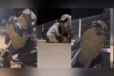 O homem percebeu os insetos ao voltar para ir embora e imediatamente acionou a Vigilância Ambiental em Saúde (VAS).