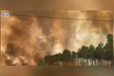Pelo menos 68 bombeiros ficaram feridos enquanto combatiam as chamas na França.