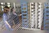 Conheça o projeto de R$ 25 milhões que visa modernizar a produção de malva no Pará, beneficiando comunidades ribeirinhas e a indústria local.