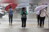 Especialistas também alertam para a possível chegada do fenômeno climático El Niño, que pode ganhar força nos próximos meses e atingir maior intensidade entre 2026 e 2027.