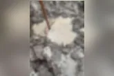 Corpo ainda não foi identificado até o momento