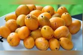 Taperebá