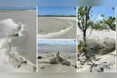 Pesquisa da UFPA revela que resíduos de pesca em Algodoal impactam ecossistemas marinhos com 1.543 organismos registrados.
