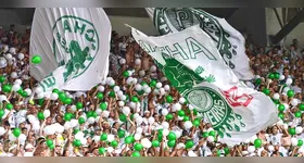 Torcida alviverde quer fazer a festa