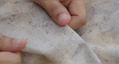 Imagem ilustrativa da notícia: Aprenda 7 truques caseiros para tirar bolor de roupa
