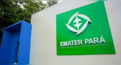 Imagem ilustrativa da notícia: EMATER-PA abre vagas com salários de R$ 4,7 mil; Inscrições nesta segunda
