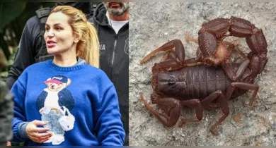 Imagem ilustrativa da notícia: Deolane sofre crises de pânico após infestação de escorpiões na prisão