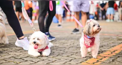 Imagem ilustrativa da notícia: Belém recebe fim de semana esportivo com corrida e lazer familiar