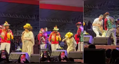 Imagem ilustrativa da notícia: Alcione cai no palco durante show em São Luís