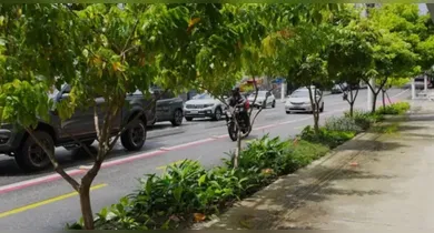 Imagem ilustrativa da notícia: Belém lança maior Jardim de Chuva para ampliar áreas verdes