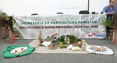Imagem ilustrativa da notícia: Secretaria da Agricultura abre vagas de emprego no Pará; confira