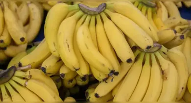 Imagem ilustrativa da notícia: Bananas frescas por mais tempo com truque simples caseiro