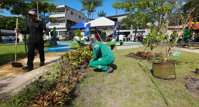 Imagem ilustrativa da notícia: Junho Verde leva consciência ambiental aos moradores da Terra Firme
