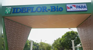 Imagem ilustrativa da notícia: IDEFLOR-Bio tem vagas abertas até esta sexta, 8; salários de R$ 2,3 mil 
