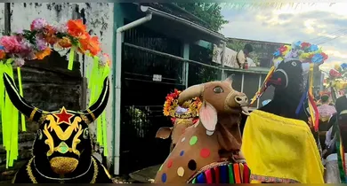 Imagem ilustrativa da notícia: Arrastão comemora 33 anos do Boi Marronzinho e destaca Projeto Periferia Viva