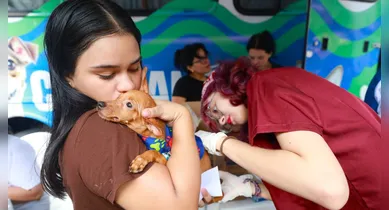 Imagem ilustrativa da notícia: Atendimento veterinário gratuito: Mosqueiro recebe ação para cães e gatos