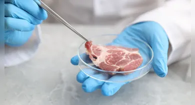 Imagem ilustrativa da notícia: Embrapa avança na criação de carne de laboratório