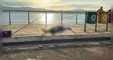 Imagem ilustrativa da notícia: Homem é morto a tiros no cais de Tucuruí; suspeito é preso