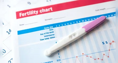 Imagem ilustrativa da notícia: Dificuldade para engravidar? Saiba identificar fatores que vão além da idade
